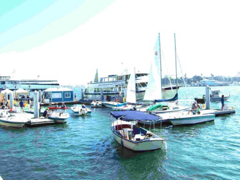 書窓けやき通り